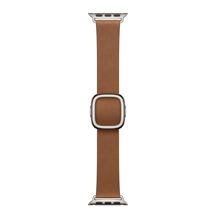 Apple Modern Buckle